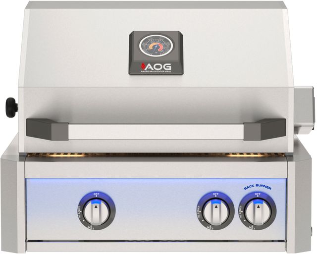 American Outdoor Grill L Series 2-Burner Stainless Steel Built-In Liquid Propane Grill with Lights-0