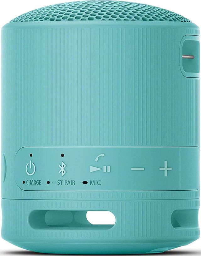 Sony® Blue Wireless Portable Speaker-2