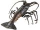 Currey & Company Edo Black/Bronze Lobster-0
