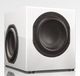 Totem Acoustics High-Fidelity Subwoofer Speaker-5