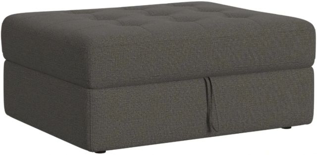 Elements International Option One Palmer Plus Ash Storage Ottoman-0