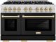 ZLINE Select Autograph Edition 48" Stainless Steel Convection Pro Style Gas Range with Black Matte Doors and Champagne Bronze Accents-0
