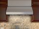 Zephyr Tempest II 48" Stainless Steel Wall Mounted Range Hood-4