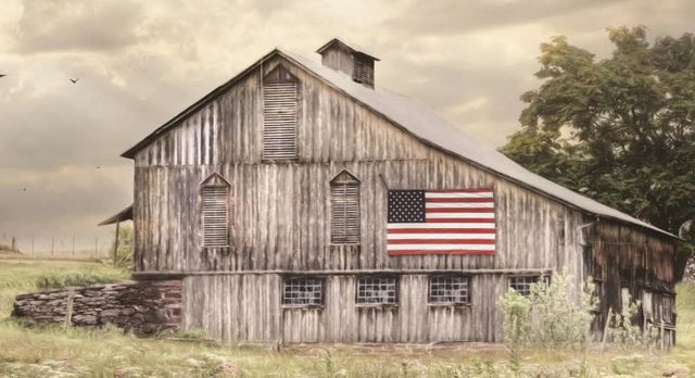 Classy Art Rural Virginia Barn by Lori Deiter Wall Art-1