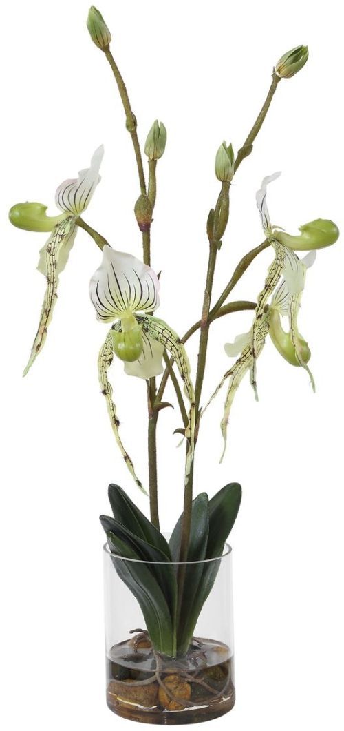 Uttermost® Lady Slipper Green/White Orchid-4