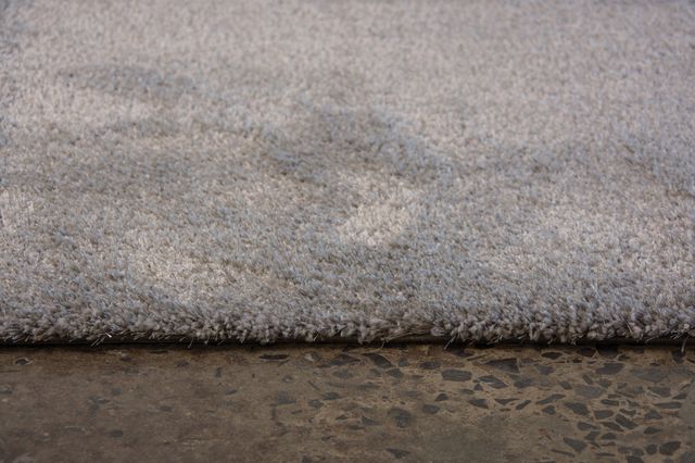 Renwil® Wilma Silver Grey 5' x 7' Area Rug-1