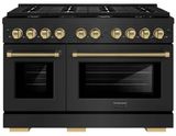 Black Stainless Steel-Champagne Bronze
