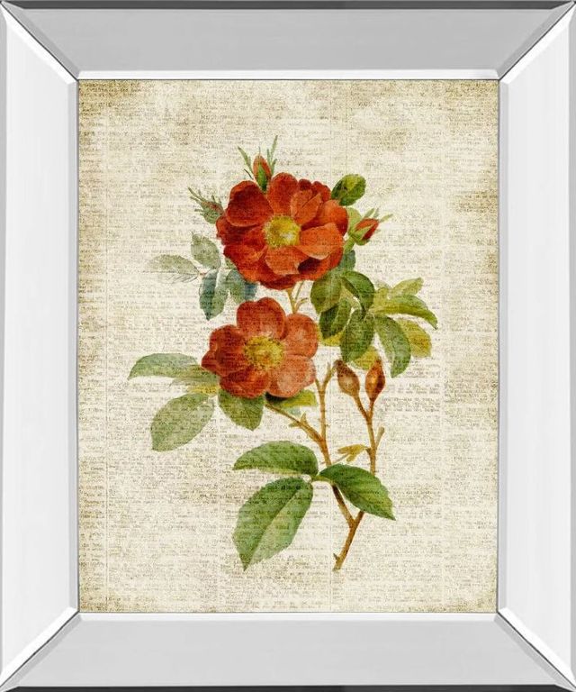 Classy Art Roses on Newsprint II by Lanie Loreth Mirror Mirror Framed Wall Art-0