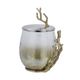 A & B Home Gold 8" Glass Branch Lidded Jar-4