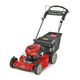 22 in. (56cm) Recycler® w/Personal Pace® Gas Lawn Mower-0