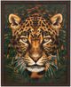 Stylecraft Roaming Wild II Wall Art-0