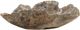 Dovetail Furniture Orvan Natural Bowl-0