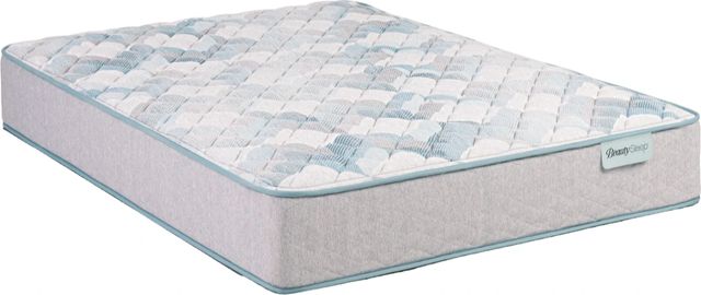 BeautySleep® Dream Weaver™ 12.5" Pocketed Coil Firm Quilted Tight Top King Mattress-0