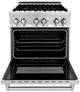 ZLINE 30" Stainless Steel Pro Style Dual Fuel Range-1
