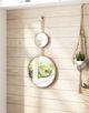 Zuo® Modern Mott Gold Mirror-2