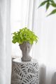 A & B Home Gray 7" Vase-5