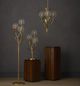 Currey & Company Dorian Kona Accent Table-3