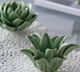 A & B Home Green Tealight Candle Holder-3