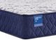 Sealy® Carrington Chase Spring Murry Hill 10.5" Innerspring Firm California King Mattress-1