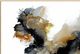 Classic Home Rorschach Black/White Painting Art-1