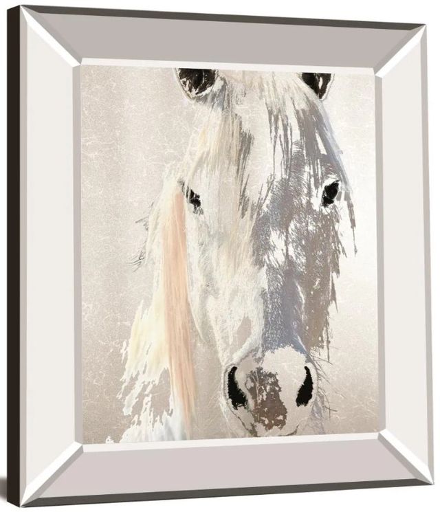Classy Art Sage by Marvin Pelkey Mirror Framed Wall Art-1