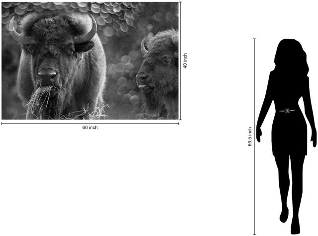 Classy Living Bison Duo Wall Art-2