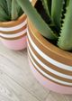 Le Present Belly Pink and White 18" Planter-4