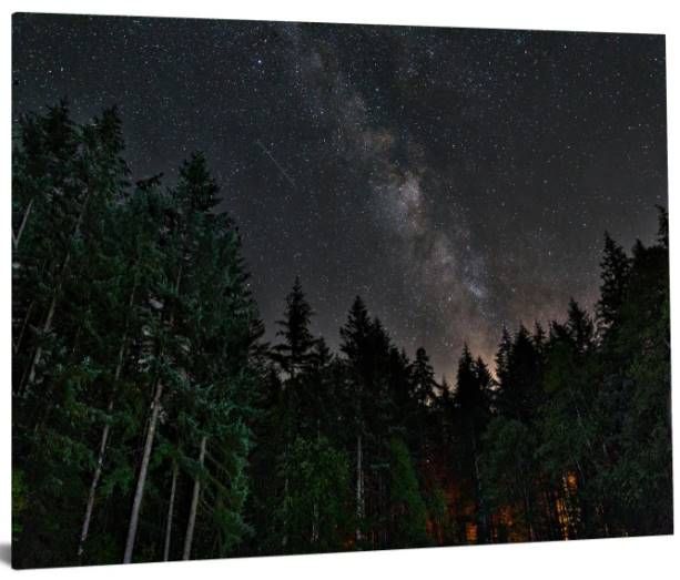 Classy Art Starry Forest Wall Art-1