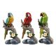 A & B Home Black/Brown/Green/Red/Yellow Macaw-0