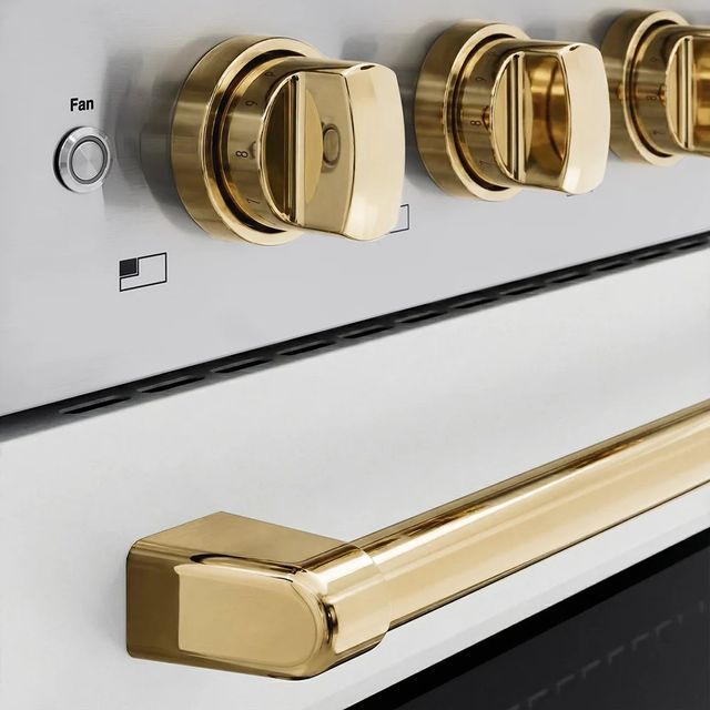 ZLINE Autograph Edition Paramount 24" Stainless Steel Pro Style Induction Range with White Matte Door and Polished Gold Accents-3