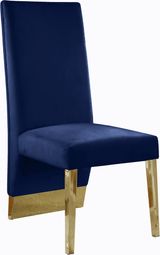 Navy-Gold