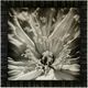 Stylecraft Inner Beauty White Wall Art-0