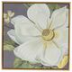 A & B Home 4-Piece Gray/Green/White Flower Wall Art Set-1