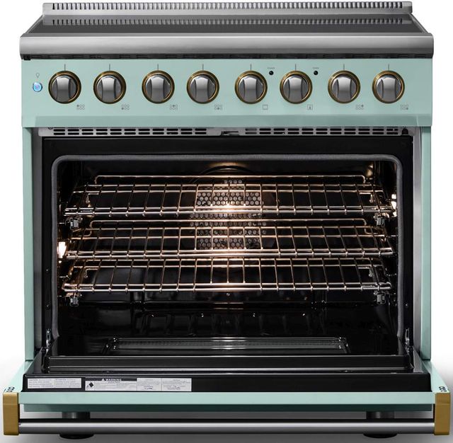 Viking® 5 Series 36" Splash Pro Style Induction Range with Brushed Brass Trim-1