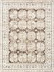Nourison Home™ Dekor DEK01 Ivory Brown 5'x7' Style 1 Area Rug-0