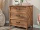 Sauder® Cannery Bridge® Sindoori Mango® Chest-3