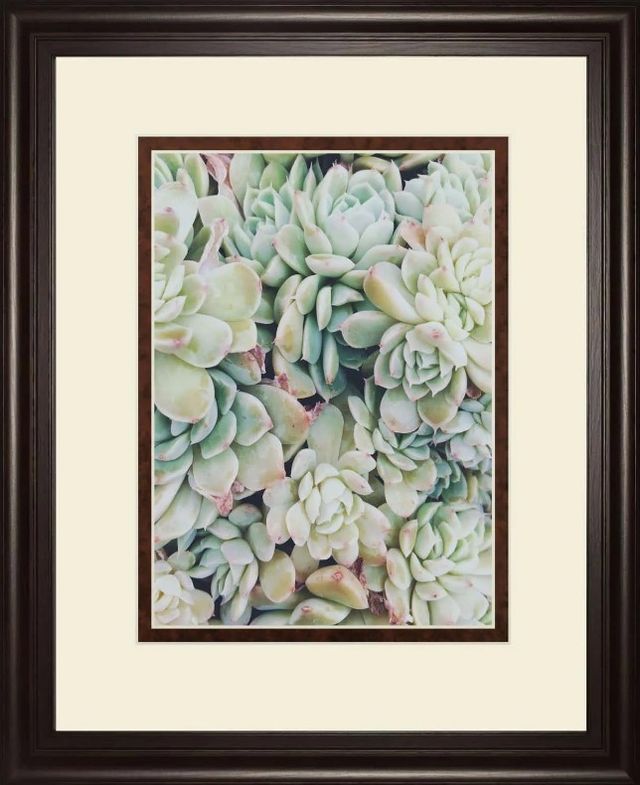 Classy Art Translucent Succulents by Chelsea Kedron Wall Art-0