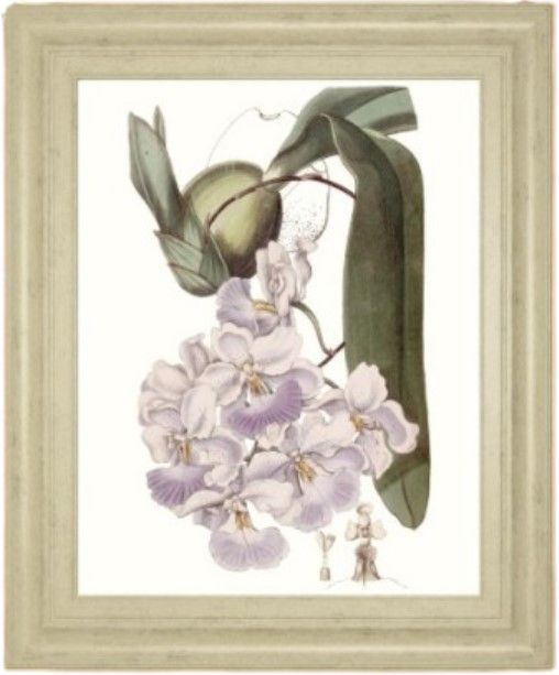 Classy Living Vision Studio Fresco Crown Imperial II 22" Wall Art-0