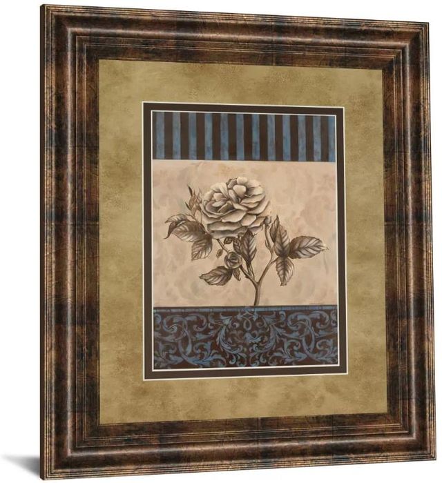 Classy Art Rose Refined II by Carol Robinson Framed Print Wall Art-0