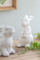 A & B Home Bailey Cream Standing Rabbit Accent-4