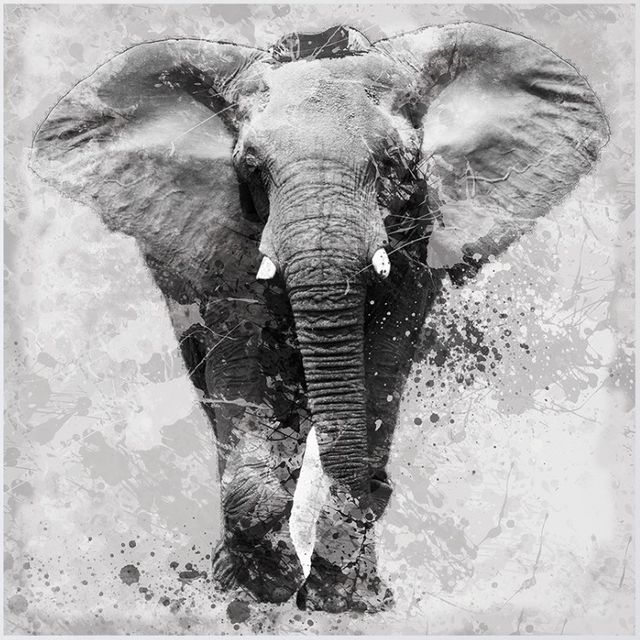 Classy Living Elephant in Ink Dot Medley Wall Art-0