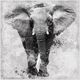 Classy Living Elephant in Ink Dot Medley Wall Art-0