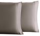 Cariloha Retreat 2-Piece Coastal Gray Lyocell King Pillow Cases-0