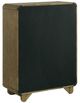 Coaster® Amsbury Nutmeg Chest of Drawers-3