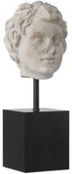 Currey & Company 2-Piece Beige/Black/Pale Gray Venus Head on Stand Set-3