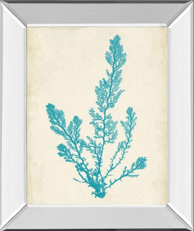 Classy Art Aquamarine Seaweed VI by Vision Studio Mirror Framed Wall Art-0