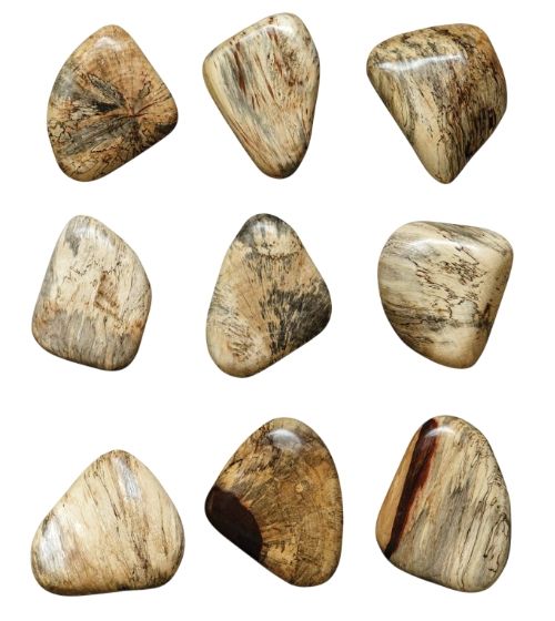 Uttermost® Pebbles 9-Piece Natural Blonde Wall Decor Set-0