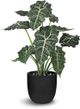 Le Present Alocasia Green 27" Faux Botanical Plant-0
