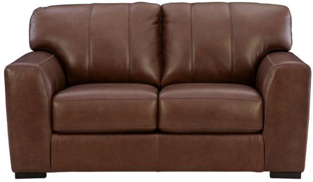Signature Design by Ashley® Brogliano Canyon Loveseat-2