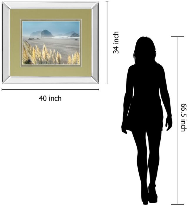 Classy Living Frates Pompas Beach Mirror Framed Wall Art-2